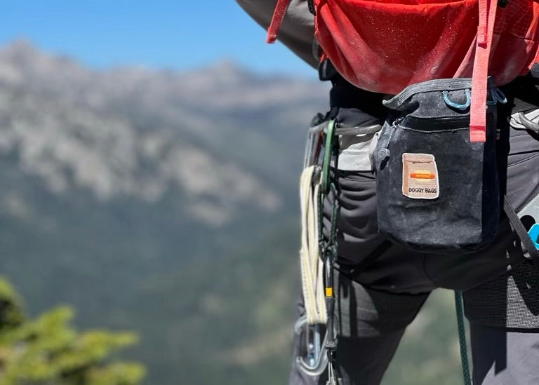 Climbing Chalk Bag